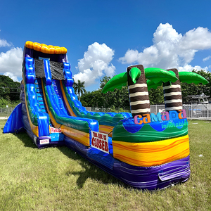 Toboggan aquatique gonflable géant Purple <span class=keywords><strong>Crush</strong></span> Plunge à double piste avec piscine à jets d'eau pour location dans les parcs sportifs - Product Image 1