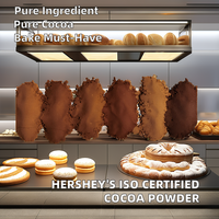 Poudre de cacao naturelle 10-12% de matières grasses, poudre brune pour la pâtisserie et la production de chocolat