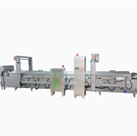 Ligne de friture automatique continue directe usine pour aubergines et racines de lotus, friteuse électrique pour brochettes de tofu
