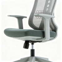 Tables et chaises de bureau ergonomiques de luxe, multicolores, personnalisables, avec soutien lombaire réglable