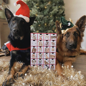 Boîte en papier personnalisée pour calendrier de l'avent pour chiens <span class=keywords><strong>2022</strong></span> - Product Image 1