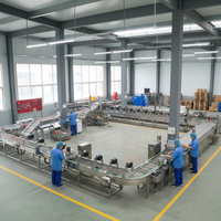 Aangepaste ervaring Volledig automatische hoogcapaciteits 2000kg fruit snoep friteuse aardappelchips productie verwerkingsmachine friet