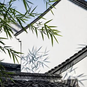 Precios al por mayor Pintura de látex de pared blanca Pintura de látex de pared de primera clase Pintura de cerámica de látex - Product Image 2