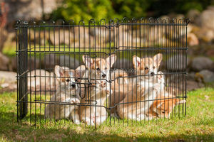 <strong>Welded</strong> Wire <strong>Dog</strong> Kennels Used in Yard, Garden, Park, Pasture, Farm, Forest Folding <strong>Dog</strong> <strong>Crate</strong> - Product Image 3