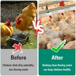 Pipa Air Ayam 1/2 inci Putih, Konektor Pipa Air Tipe T dengan Saluran Air Silang 3 Arah dan Nipple Drinker - Product Image 6