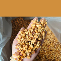 Chinese Nieuwe Oogst 100% Natuurlijke Gedroogde Appel In Blokjes Gesneden Groothandel Bulkprijs Gedroogd Fruit Voor Thee
