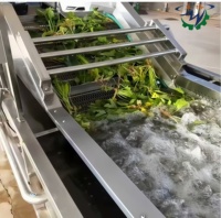 3M Bubble Groente- en Fruitreinigingsmachine voor groenteverwerkingsbedrijven, PLC-gestuurd, lage onderhoudskosten
