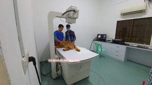 جهاز بيطري متكامل لتصوير صور الأشعة السينية الرقمية, جهاز طبي بالأشعة السينية ، يستخدم في عيادة الحيوانات ، للكلب والقطط VXM1800 - Product Image 4