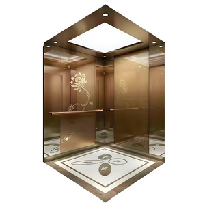 Ascenseurs hydrauliques résidentiels personnalisés <span class=keywords><strong>pour</strong></span> villas et petites maisons, adaptés aux maisons de 2/3/4 étages - Product Image 3