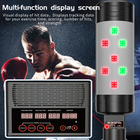 Sac de boxe musical intelligent avec support mural en acier et plastique, design unisexe pour entraînement amateur à domicile