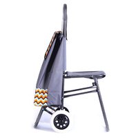 Haute qualité exécution exquise main ascenseur Portable marché métal pliant 2 roues Shopping bagages chariot sac chariot avec siège