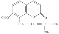 Extrait de Cnidium Monnieri 60% Osthole HPLC Extrait de plante naturelle