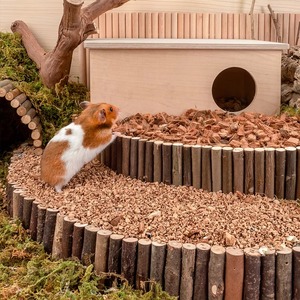 Literie <span class=keywords><strong>de</strong></span> hamster sans poussière personnalisable en écorce <span class=keywords><strong>de</strong></span> chêne écologique et matériaux floraux botaniques - Product Image 6