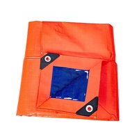 Bâche PE tissée enduite bleue et orange, imperméable et résistante à la pluie, pour l'extérieur, pour filles, résistante aux déchirures, anti-UV, pour maison d'animaux