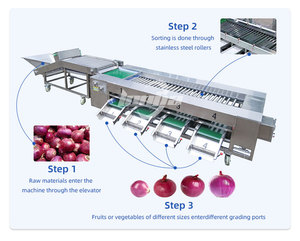 Kommerzielle Kiwi Lemon <span class=keywords><strong>Cherry</strong></span> Rolling Bar Sortier maschine Zwiebel Sortiermaschine Obst Gemüse Sortierer - Product Image 4