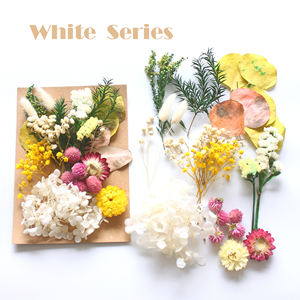 <span class=keywords><strong>Kit</strong></span> de fleurs séchées naturelles pressées, mélange de feuilles d'eucalyptus pour la création de bijoux en résine, le nail art, la fabrication de bougies, la décoration bohème de la maison - Product Image 6