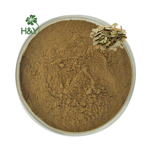 Extracto de Planta Natural 10:1 20:1, Extracto de Hojas de <span class=keywords><strong>Boldo</strong></span> en Polvo - Product Image 2