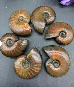 Vente en gros : Spécimen d'<span class=keywords><strong>Ammonite</strong></span> opaline irisée, cristal de guérison naturel avec support de présentation pour la décoration intérieure Feng Shui - Product Image 3