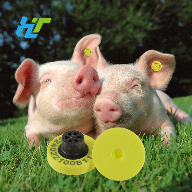 E-009 New TPU LF Ear Tags Small FDX-B RFID Animal Tracking Livestock Ear Tag for Cow Sheep Goat Pig