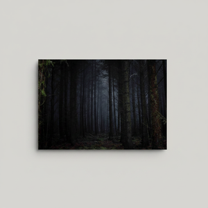 Impresión en lienzo de paisaje de bosque oscuro: arte de pared de bosque nocturno, arte en vidrio templado - Product Image 2