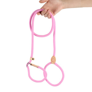 Correa de Tracción Ajustable para Mascotas, a Prueba de Explosiones, de PP, para Perros Pequeños, Medianos y Grandes, Accesorios para Mascotas, Hebilla Resistente para Perros y Gatos - Product Image 2