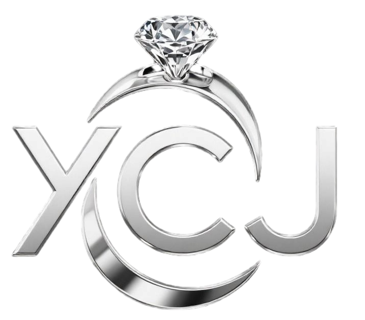Jiaxing Xichengjie Technology Co., Ltd. logo