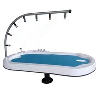 Équipement de spa pour piscine, lit de massage Aqua Spa, douche intelligente Vichi, lit de massage/équipement de massage aquatique