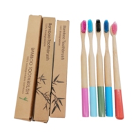 Ensemble de brosses à dents en bambou naturel poils souples charbon de bois blanchiment des dents soins bucco-dentaires aide dentaire usage domestique