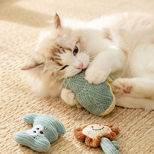 Venta al por mayor de suministros para gatos, juguete masticable de menta y teaser para gatitos, ideal para aliviar el aburrimiento y jugar con perros - Product Image 1