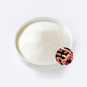 <span class=keywords><strong>Lactobacillus</strong></span> Salivarius Probiotic Capsules La poudre lyophilisée blanche soutient des intestins sains réduit la graisse aide le foie - Product Image 2