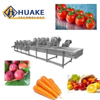 Bubble Fruit- en groentewasmachine met instelbare output voor het reinigen van bessen, bladgroenten en fruit