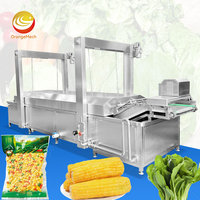 ORME Groothandel Kippenpootjes Banaan Aardappelchips Batch Blancher Noot Amandel Pinda Wortel Blancheringsmachine