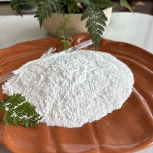 Carbonato di Magnesio CAS546-93-0 Anidro - Product Image 5