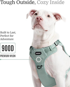 Personalización masiva de fábrica, venta al por mayor, conjunto de arnés para perros de diseño 2025, arnés para perros fuerte - Product Image 2