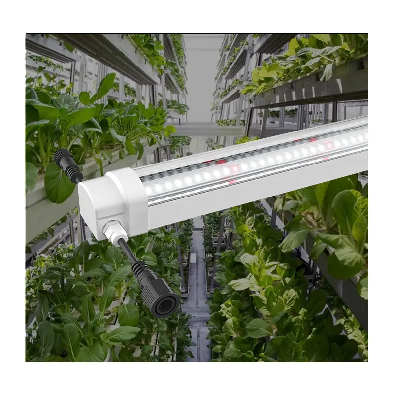 PPFD IP65 عالية مضادة للماء الزراعة المائية T8 الصمام ضوء أنبوب نمو مصباح النبات كامل الطيف للزرع الرأسي
