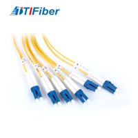 Câble Trunk Fibre Optique 12 Fibres MPO-LC Monomode G657A1 A2 avec Brindilles 50CM 60CM, Cordon de Brassage pour Centre de Données Utilisation 400/800G