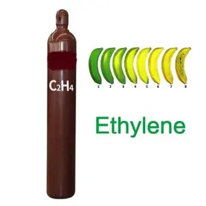 Gas de maduración de frutas de grado industrial Gas de etileno C2h4 de alta pureza 99.95%