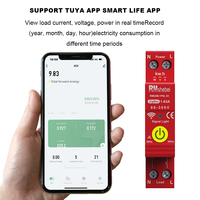 RMshebei Disjoncteur Zigbee MCB1Phase Compteur d'électricité intelligent pour la maison Produits pour la maison intelligente Télécommande de téléphone portable