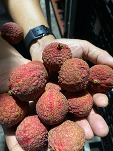 ลิ้นจี่แช่แข็งจำนวนมากผลไม้สดที่เหมาะสำหรับอาหารและเครื่องดื่ม - Product Image 5