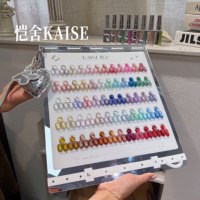 KAISE Kit de 60 Gels Ongles Effet Œil de Chat Clair de Lune 2026 Nouveauté DIY Écologique Non Toxique Sans HEMA ni TPO Gel UV Salon ODM/OEM Vente en Gros
