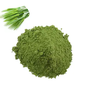 100% Natural and Organic Fruit&Vegetable Powders Green Plant Extract From Leaf Barley Grass Juice Powder