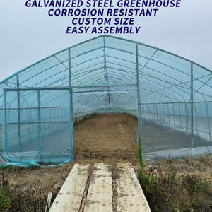 In Vendita: Set Serra a Tunnel a Doppio Strato con Ventilazione, Completo di Ventilatore e Attrezzatura per Pareti Umide - Product Image 5