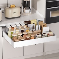 Étagère de rangement coulissante extensible en plastique de style minimaliste pour armoire, panier de rangement, plateau, organisateur d'épices