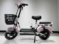 Meilleures ventes, prix bas, vélo électrique, vélo électrique, vélo de ville électrique, vélos électriques