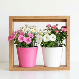 Decorative Desktop <b>Plastic</b> Self-Watering Flower <b>Planter</b> <b>Pots</b> for Succulents Herbs Orchids with Visual Water Indicator - Product Image 1