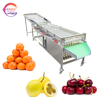 Kersen sorteermachine met roestvrijstalen rollers voor passievrucht, pruim, jujube, sinaasappel en kleine bessen.
