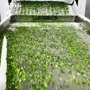 Vegetales Congelados de Primera Calidad para Comidas Saludables, en Diversos Tamaños/Venta al por Menor/Vegetales Asados Congelados IQF, Puré de Verduras Congelado - Product Image 2