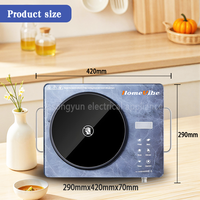 Cuisinière à rayonnement électrique à brûleur unique Plaque de cuisson infrarouge multifonctionnelle durable Garantie de 1 an pour une utilisation dans la cuisine à domicile