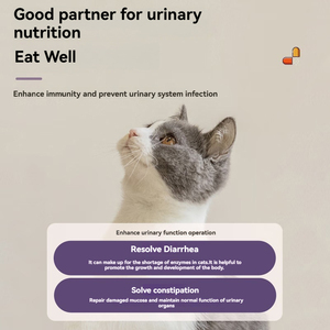 Extracto de plantas naturales que mejoran la inmunidad del sistema urinario de las mascotas Suplemento DE SALUD Reparación de membranas mucosas dañadas - Product Image 5