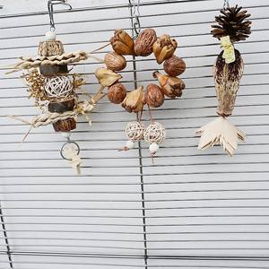 ของเล่นสัตว์เลี้ยงขายส่งจากโรงงาน ผลไม้ธรรมชาติ ขนมขบเคี้ยว ผลิตภัณฑ์สำหรับขัดฟัน สำหรับนกแก้ว กระต่าย หนูแฮมสเตอร์ - Product Image 1